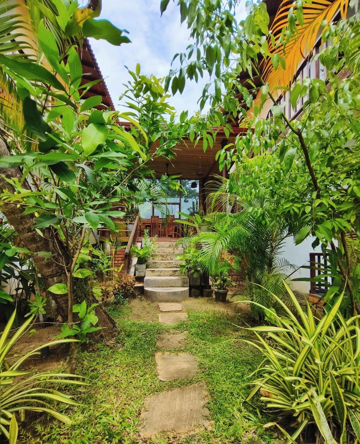 The Lookout Lodge Тангале Екстериор снимка
